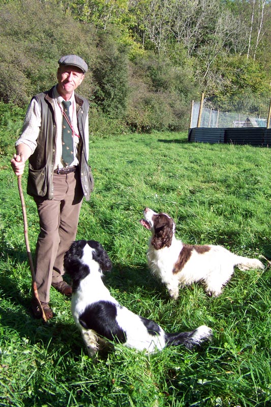 Peagle Field Gun Dog Training | Gun Dog Training in Kent and Sussex